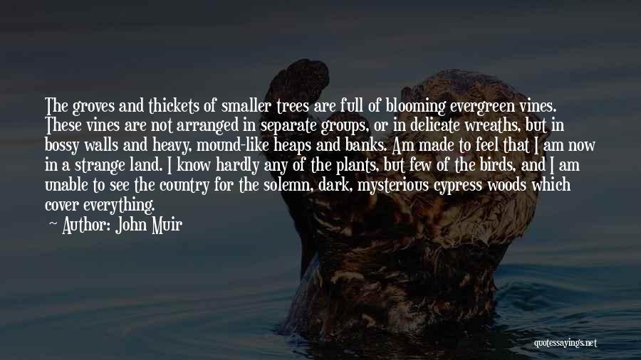 Groves Quotes By John Muir