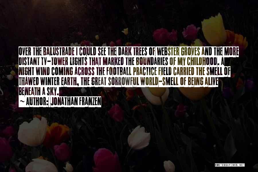 Groves Quotes By Jonathan Franzen