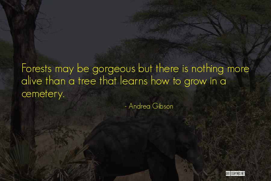 Grow A Tree Quotes By Andrea Gibson Grow A Tree Quotes By Andrea Gibson
