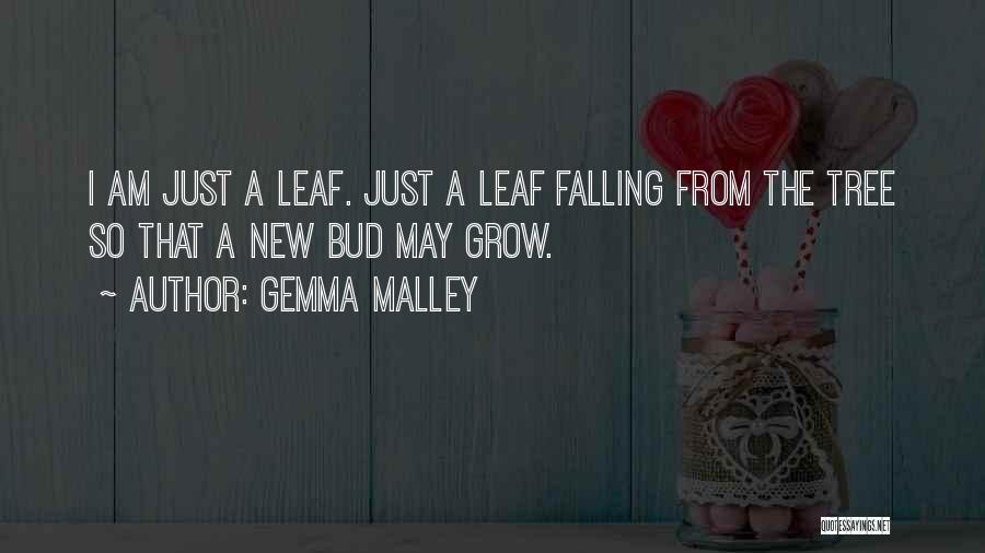 Grow A Tree Quotes By Gemma Malley