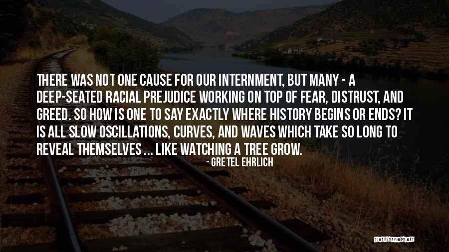Grow A Tree Quotes By Gretel Ehrlich Grow A Tree Quotes By Gretel Ehrlich