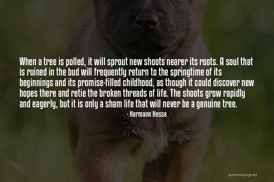 Grow A Tree Quotes By Hermann Hesse Grow A Tree Quotes By Hermann Hesse