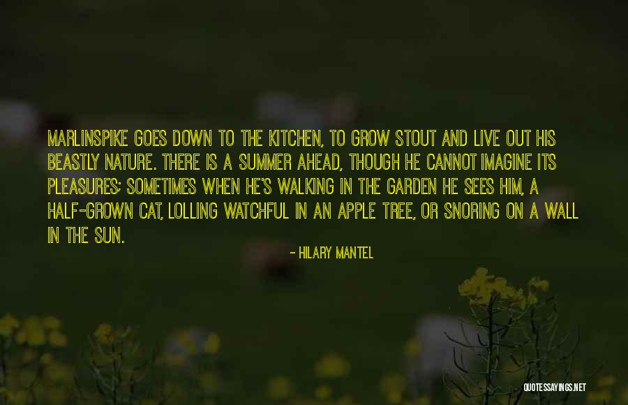 Grow A Tree Quotes By Hilary Mantel Grow A Tree Quotes By Hilary Mantel