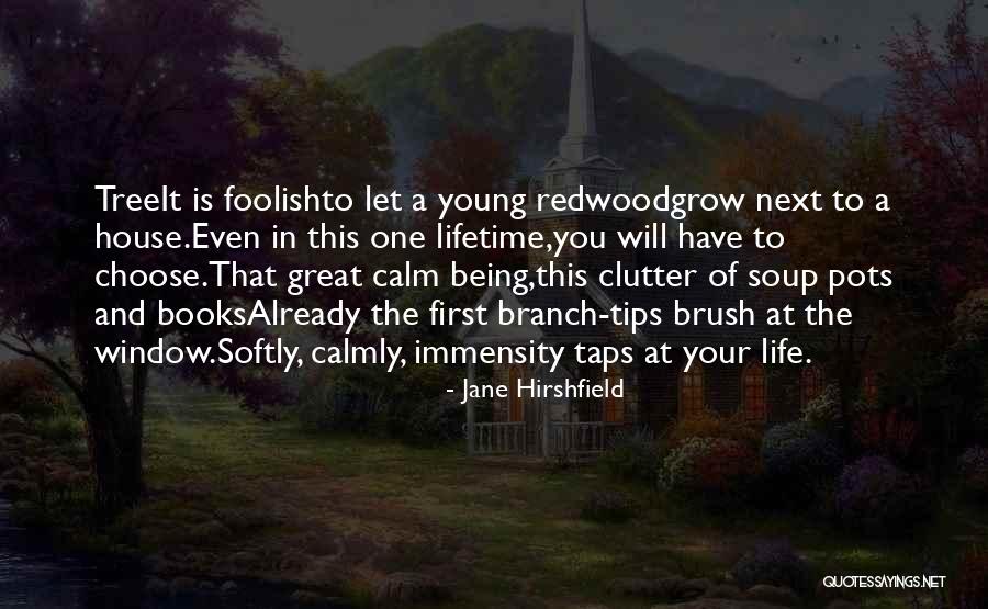 Grow A Tree Quotes By Jane Hirshfield Grow A Tree Quotes By Jane Hirshfield