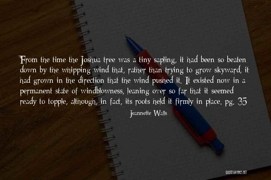 Grow A Tree Quotes By Jeannette Walls