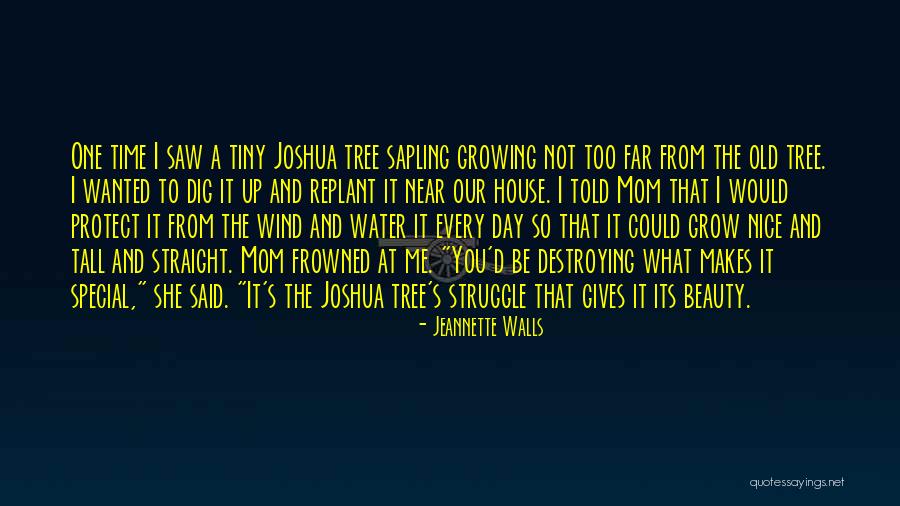 Grow A Tree Quotes By Jeannette Walls Grow A Tree Quotes By Jeannette Walls