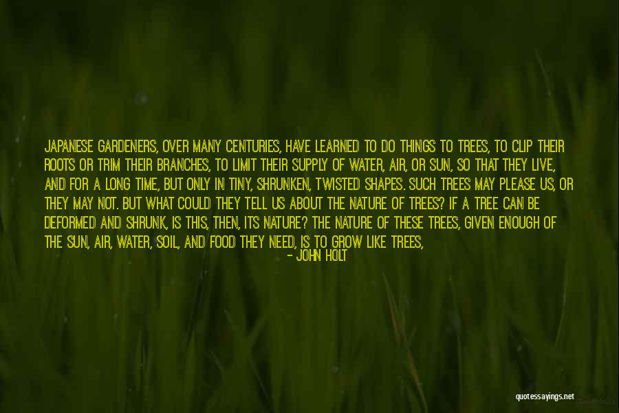 Grow A Tree Quotes By John Holt