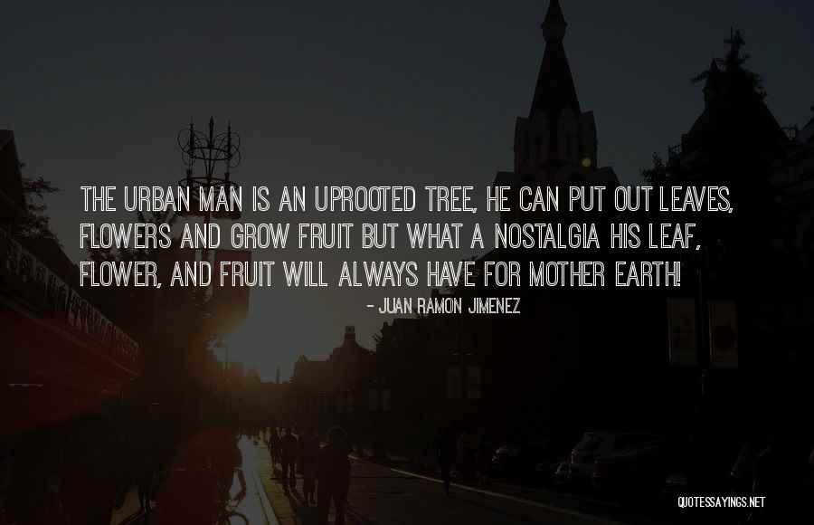 Grow A Tree Quotes By Juan Ramon Jimenez Grow A Tree Quotes By Juan Ramon Jimenez