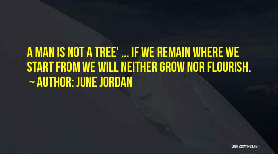 Grow A Tree Quotes By June Jordan