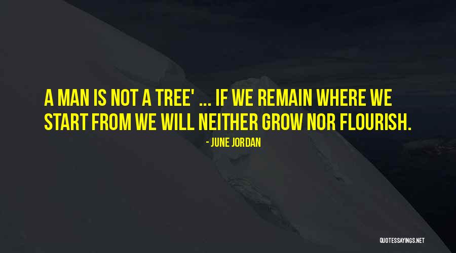 Grow A Tree Quotes By June Jordan