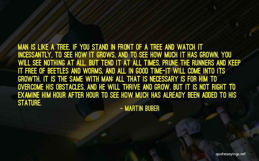 Grow A Tree Quotes By Martin Buber