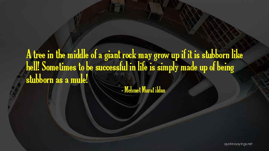Grow A Tree Quotes By Mehmet Murat Ildan Grow A Tree Quotes By Mehmet Murat Ildan