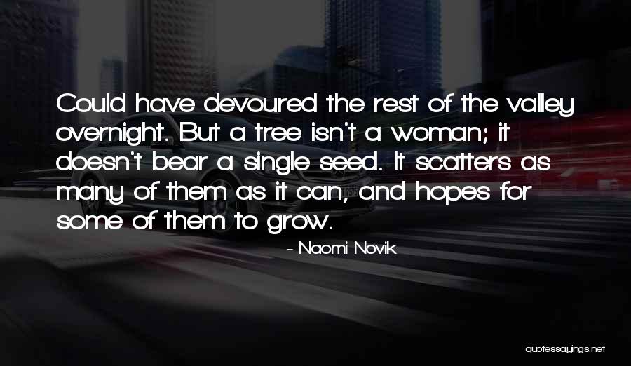 Grow A Tree Quotes By Naomi Novik