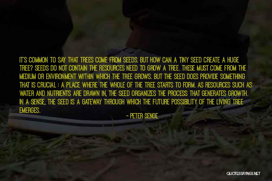 Grow A Tree Quotes By Peter Senge Grow A Tree Quotes By Peter Senge