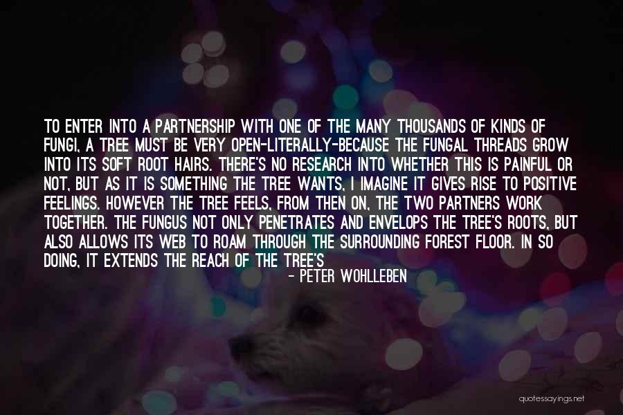 Grow A Tree Quotes By Peter Wohlleben Grow A Tree Quotes By Peter Wohlleben