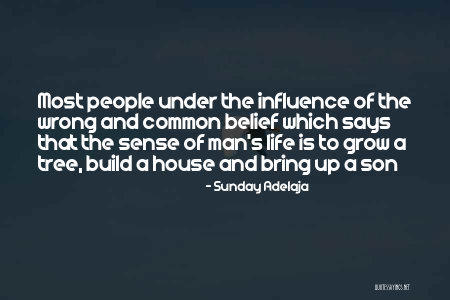 Grow A Tree Quotes By Sunday Adelaja Grow A Tree Quotes By Sunday Adelaja