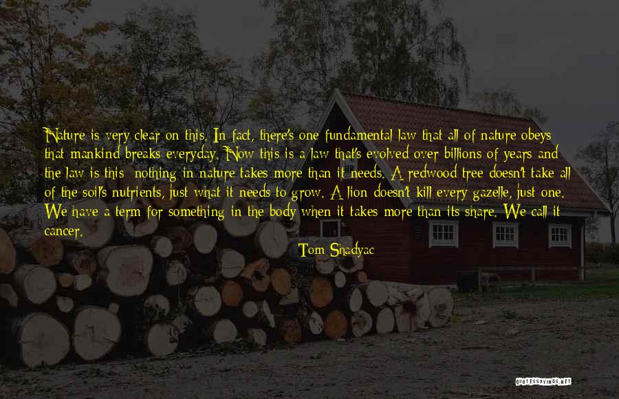 Grow A Tree Quotes By Tom Shadyac