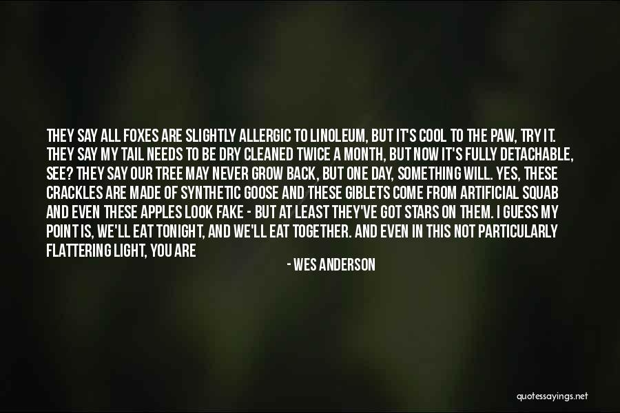 Grow A Tree Quotes By Wes Anderson Grow A Tree Quotes By Wes Anderson