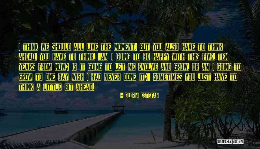 Grow And Evolve Quotes By Gloria Estefan Grow And Evolve Quotes By Gloria Estefan