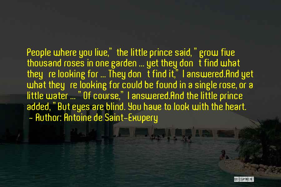 Grow Garden Quotes By Antoine De Saint-Exupery