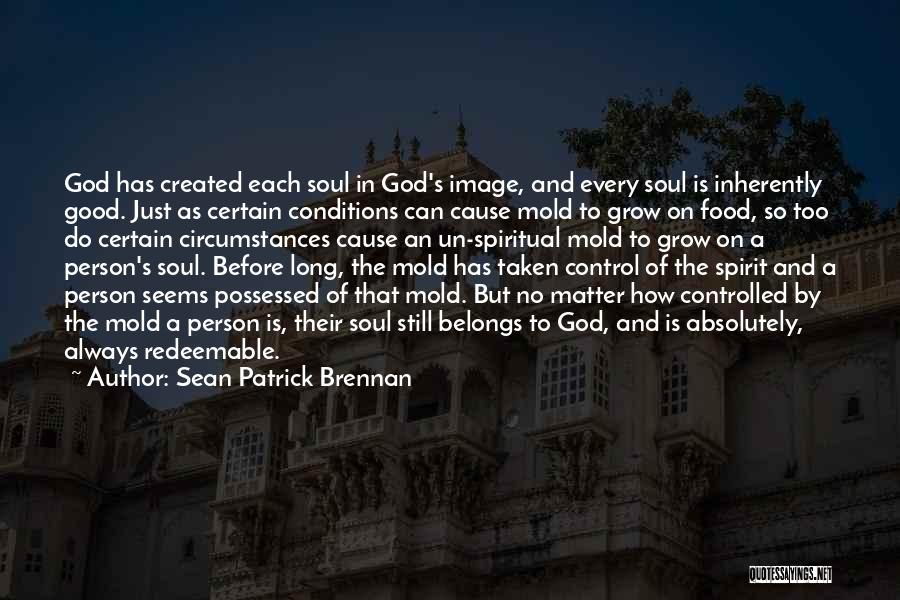 Grow In Grace Quotes By Sean Patrick Brennan