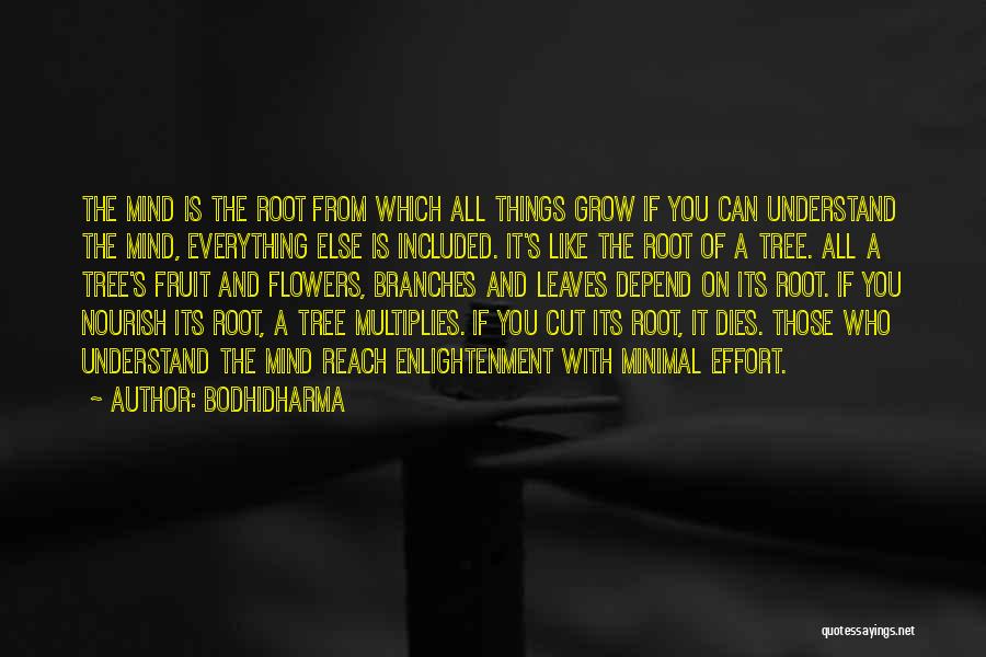 Grow Like A Tree Quotes By Bodhidharma