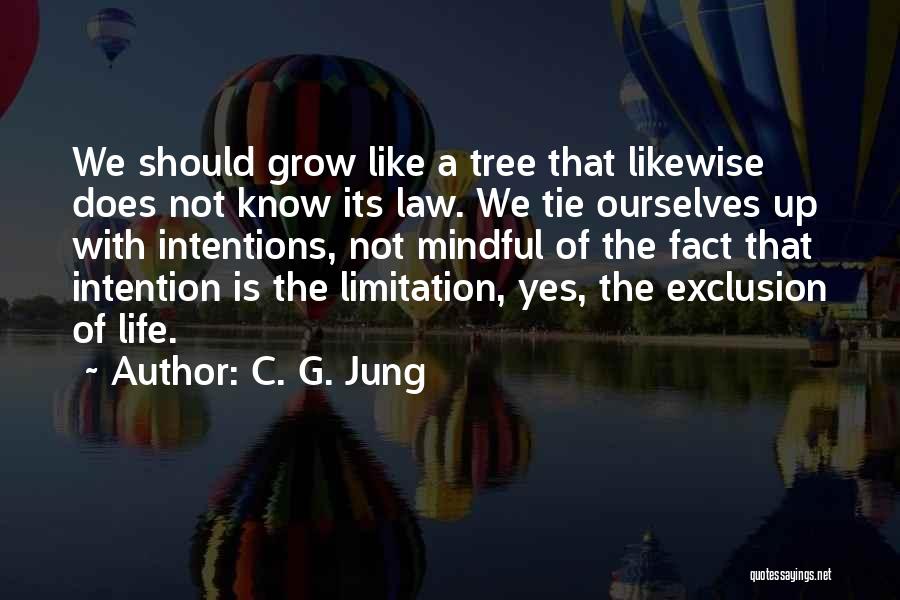Grow Like A Tree Quotes By C. G. Jung