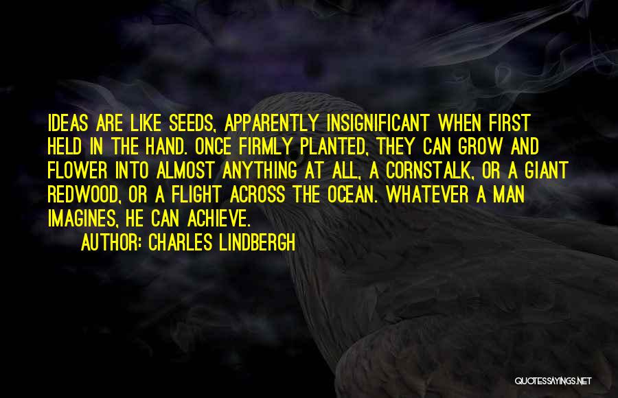 Grow Like Flower Quotes By Charles Lindbergh