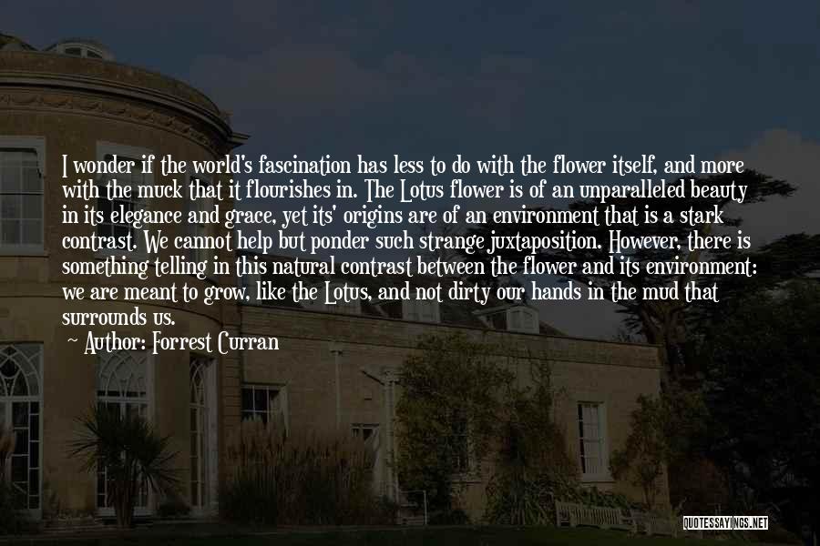 Grow Like Flower Quotes By Forrest Curran