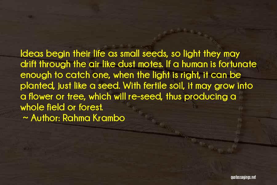 Grow Like Flower Quotes By Rahma Krambo