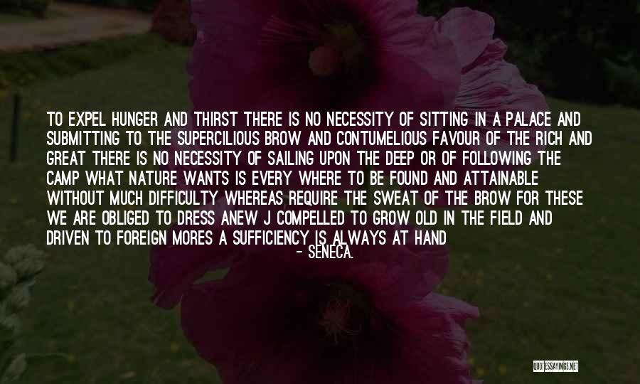 Grow Old Quotes By Seneca. Grow Old Quotes By Seneca.