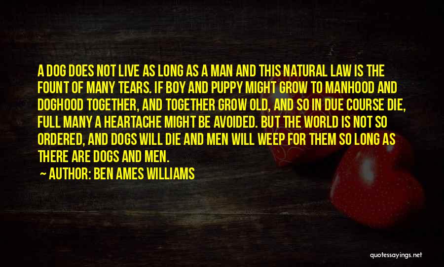 Grow Old Together Quotes By Ben Ames Williams