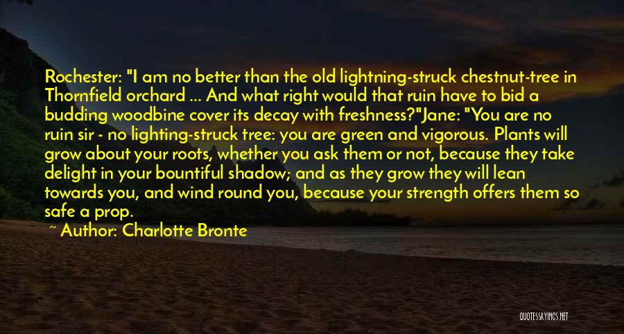 Grow Old With You Quotes By Charlotte Bronte