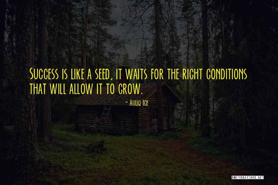 Grow Quotes Quotes By Auliq Ice Grow Quotes Quotes By Auliq Ice