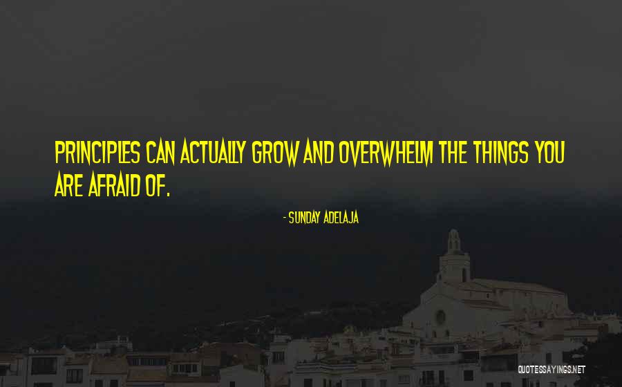 Grow Quotes Quotes By Sunday Adelaja Grow Quotes Quotes By Sunday Adelaja