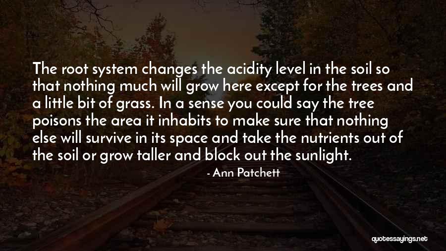 Grow Taller Quotes By Ann Patchett Grow Taller Quotes By Ann Patchett