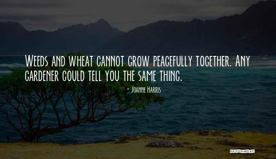 Grow Together Quotes By Joanne Harris Grow Together Quotes By Joanne Harris