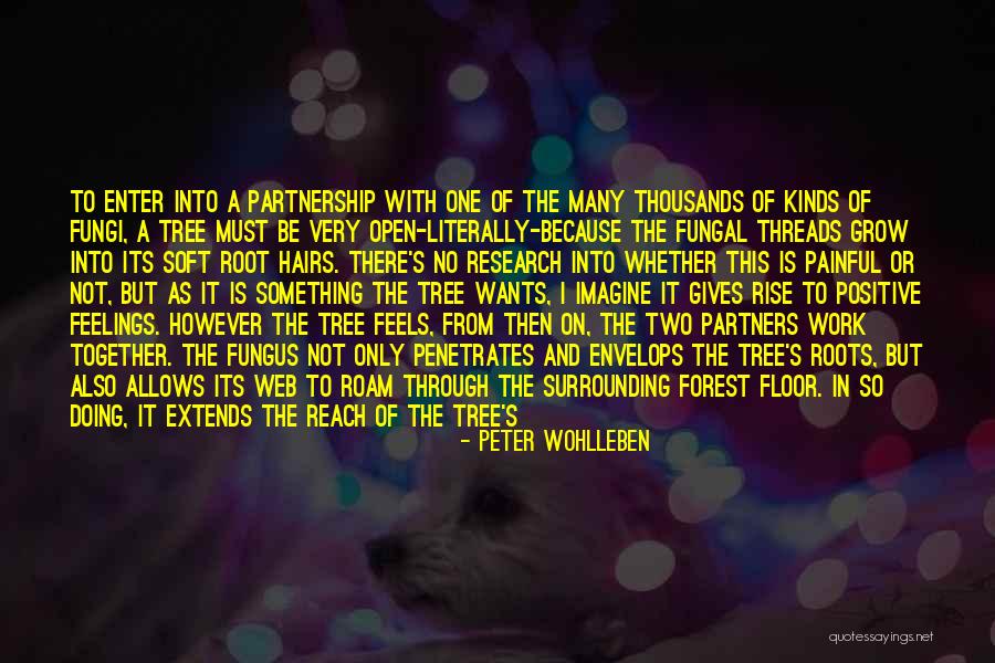 Grow Together Quotes By Peter Wohlleben Grow Together Quotes By Peter Wohlleben