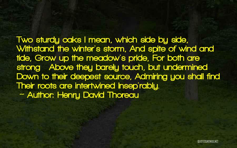 Grow Up Strong Quotes By Henry David Thoreau