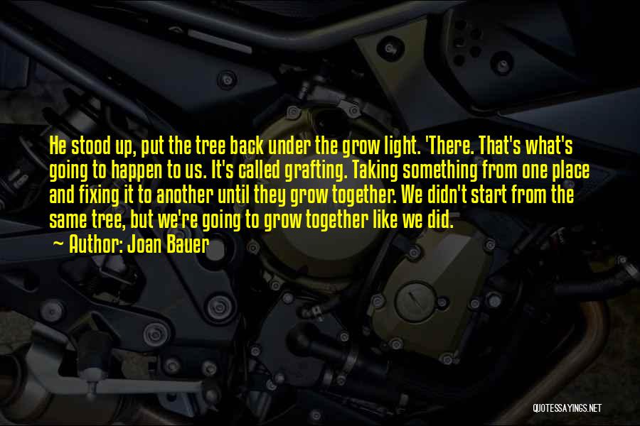 Grow Up Together Quotes By Joan Bauer