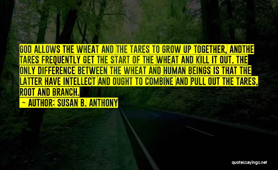 Grow Up Together Quotes By Susan B. Anthony