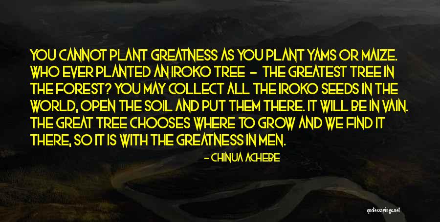 Grow Where You Are Planted Quotes By Chinua Achebe Grow Where You Are Planted Quotes By Chinua Achebe