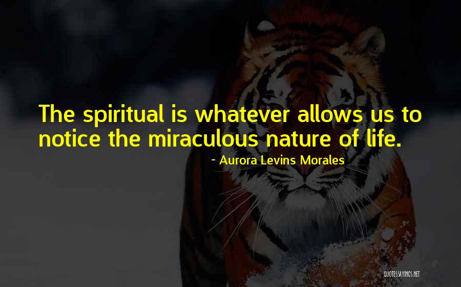 Growed Or Grew Quotes By Aurora Levins Morales Growed Or Grew Quotes By Aurora Levins Morales