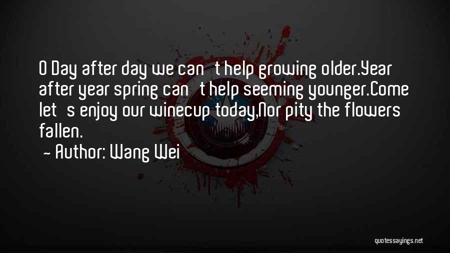 Growing A Year Older Quotes By Wang Wei