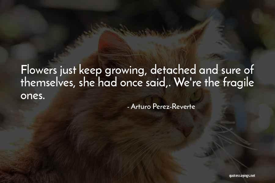 Growing Flowers Quotes By Arturo Perez-Reverte Growing Flowers Quotes By Arturo Perez-Reverte