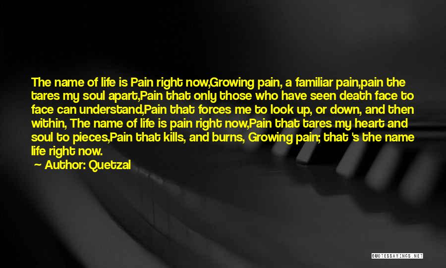 Growing From Pain Quotes By Quetzal