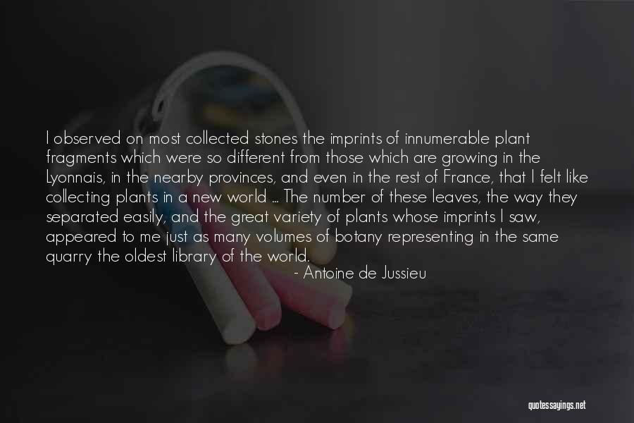 Growing Like A Plant Quotes By Antoine De Jussieu Growing Like A Plant Quotes By Antoine De Jussieu