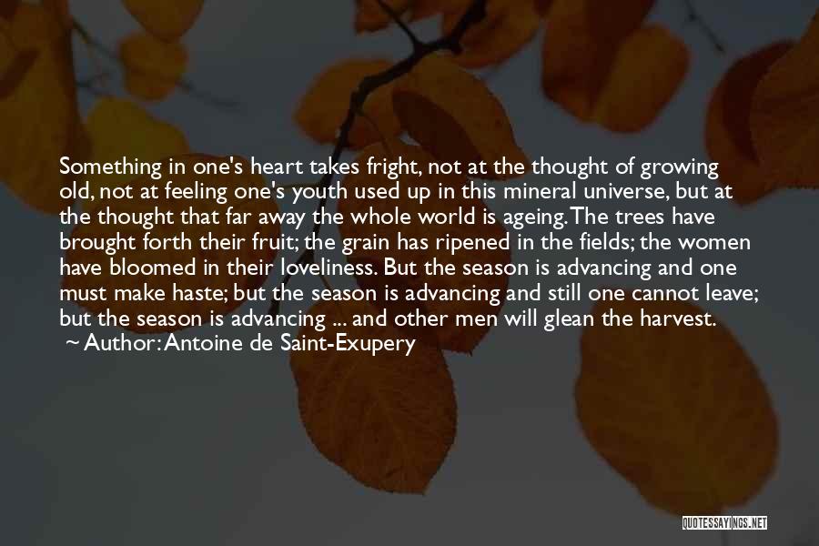 Growing Old Inspirational Quotes By Antoine De Saint-Exupery