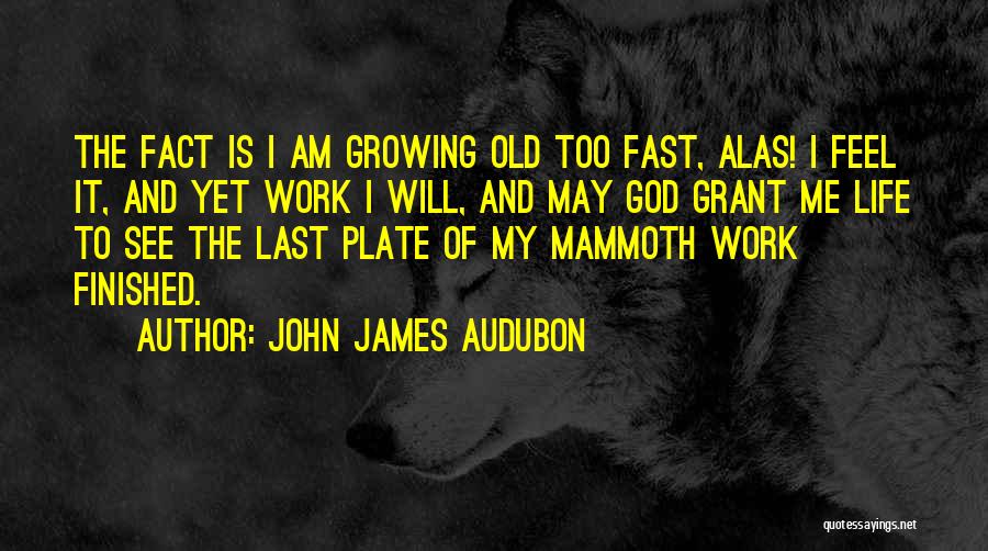 Growing Old Too Fast Quotes By John James Audubon