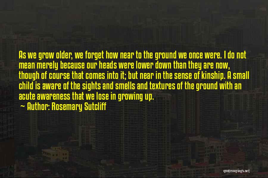 Growing Older Quotes By Rosemary Sutcliff